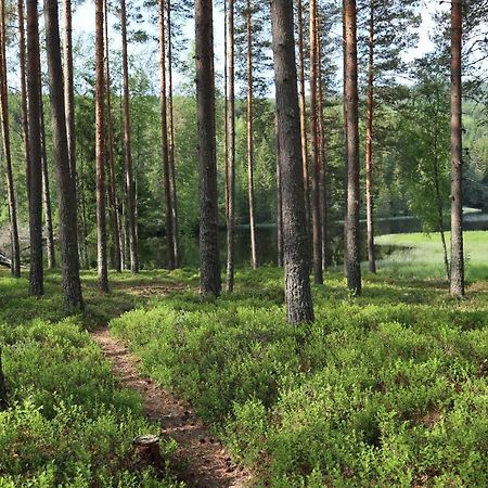 Villa Lekvattnet 123 Torsby Esterno foto